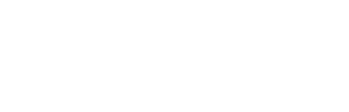 White wordmark preview