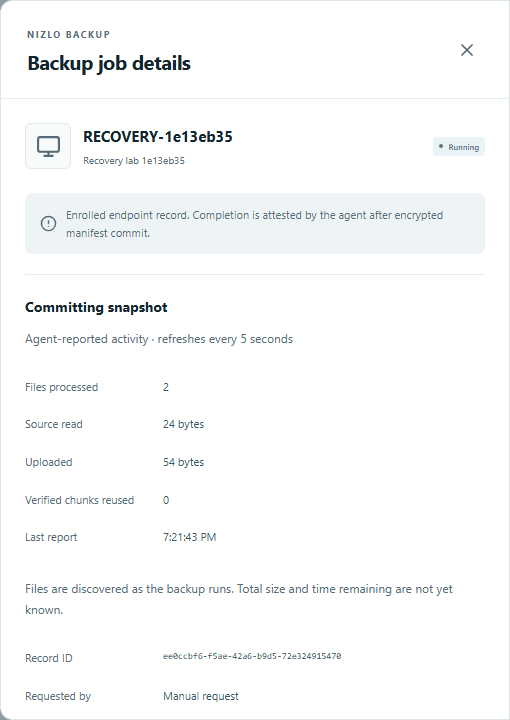 Live Nizlo Backup job progress