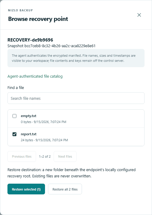 Nizlo Backup recovery-point file browser